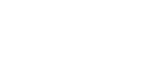 logo rodocargo